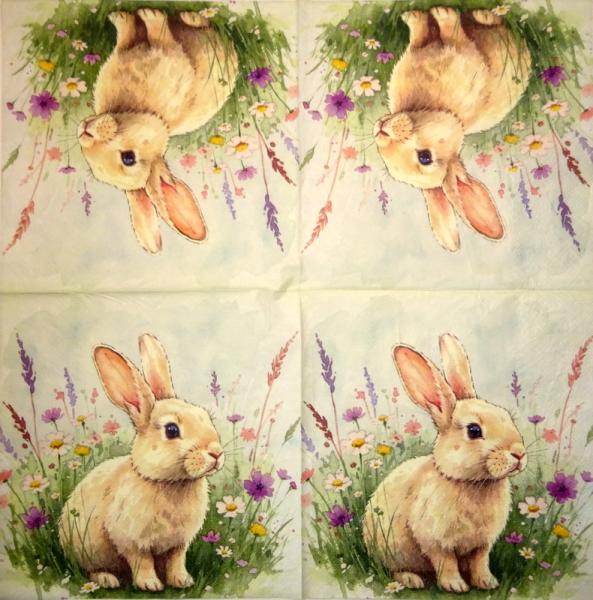 105 Hasen: natürlich - 3-lagig